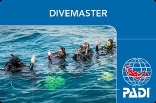  Divemaster Course 