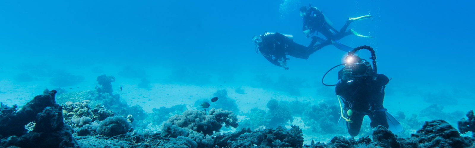 Palm De Soma Divesites