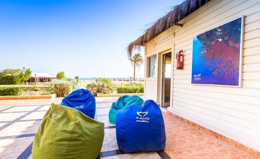 Professionelles Tauchcenter Scuba World Divers In Safaga