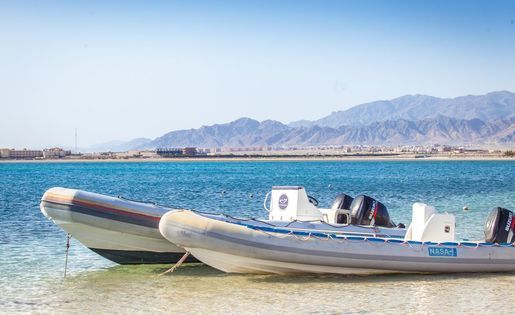 zodiac trips soma bay