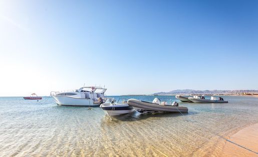 boat trips soma bay