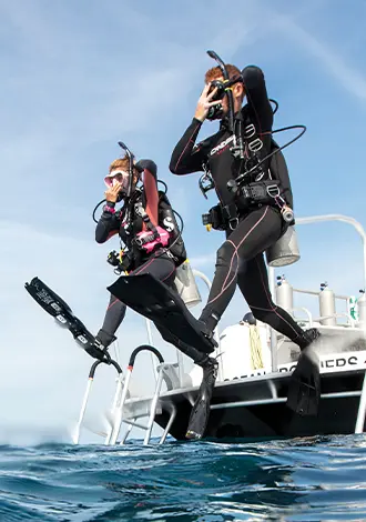Professional Divers