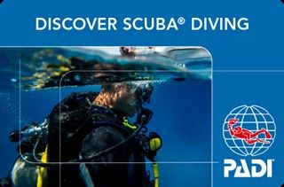 Discover Scuba Diver
