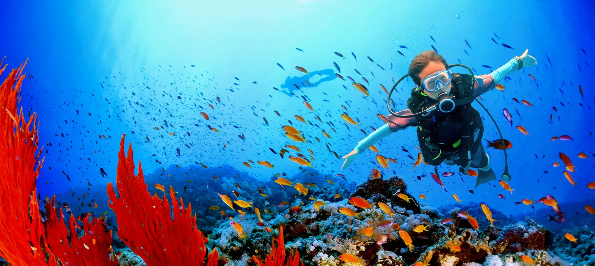 Diving for Kids