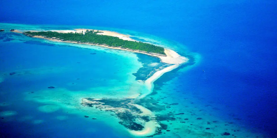 Discover Mnemba Atoll & Beyond – Dive With Local Experts