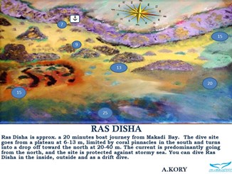 Ras Disha