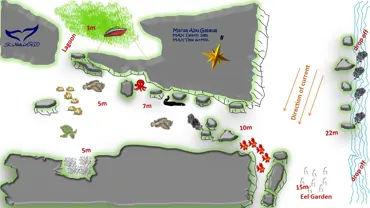 Dive Sites in El Gouna | Scuba World Divers