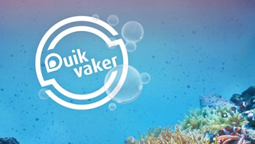  Duikvaker at Expo Houten